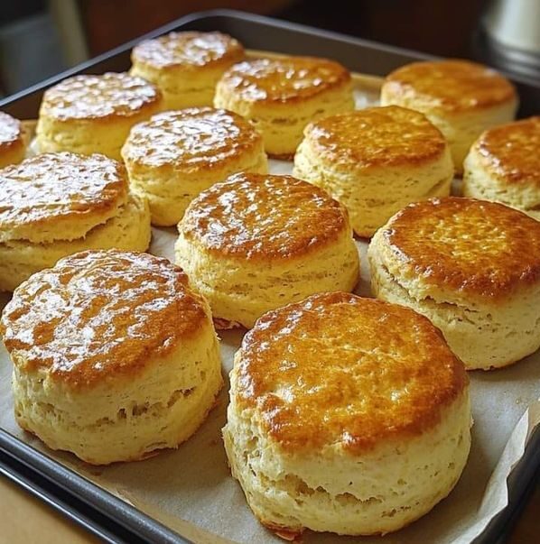 Plain Scones